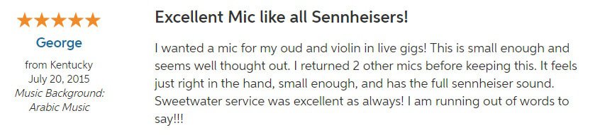 Sennheiser E614 Review 2