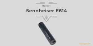 Sennheiser E614 Review