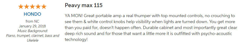 Peavey Max Review 1