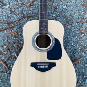 An image capturing the essence of the Blueridge Guitars BR-40T for a blog post