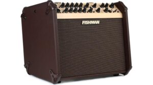 amplified acoustic performance review