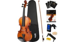 beginner friendly violin choice