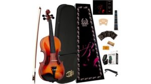 beginner friendly violin set