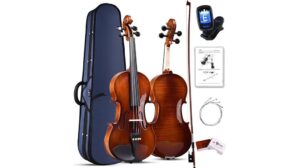 beginner friendly violin set