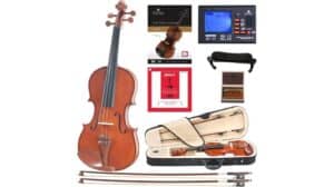 cecilio cvn 200 violin assessment