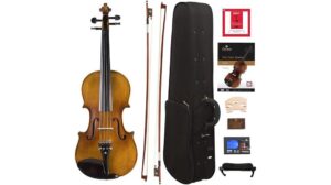 cecilio full size violin