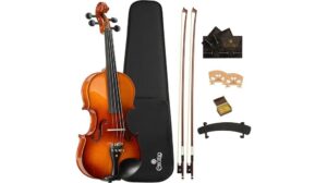 cecilio violin review insights