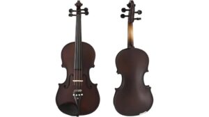 cecilio violin review insights