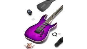 fesley electric guitar review