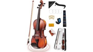 fesley violin fiddle set