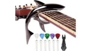 guitar essential for musicians