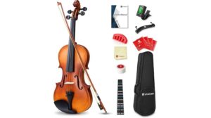 ideal beginner violin choice