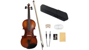 left handed violin performance review