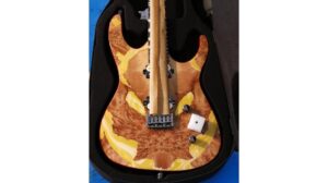 leo jaymz electric guitar review