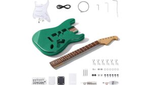 leo jaymz electric guitar review