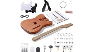 leo jaymz guitar kit review