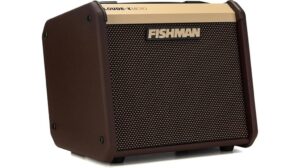 powerful acoustic amplifier review