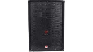 powerful speaker performance review