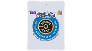 quality acoustic guitar strings