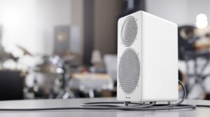 seismic audio speaker review