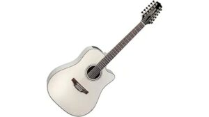 stunning 12 string guitar review