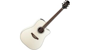 takamine acoustic guitar review