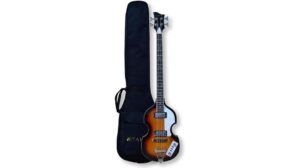 tario violin bass review