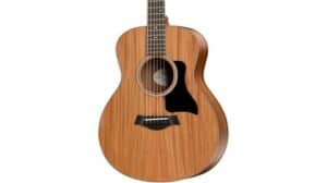 taylor gs mini review