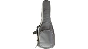 violin bag pros and cons