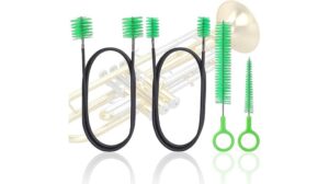 cleaning snake brush kit