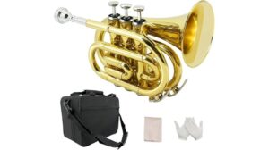 compact and excellent trumpet