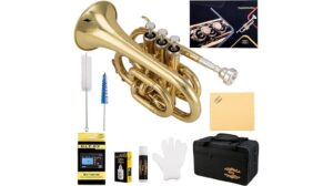 compact brass instrument review
