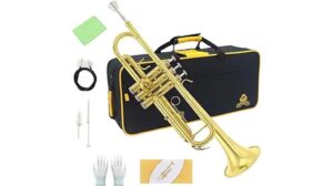 trumpet instrument review insights