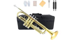 yinfente bb trumpet evaluation