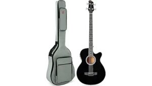 acoustic electric bass guitar review