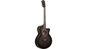 acoustic electric fretboard guitar