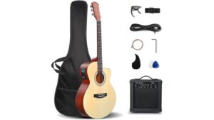 acoustic electric guitar