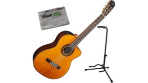 High-quality acoustic guitar with a microphone stand and Gear Tree carrying case, ideal for performances and practice sessions, showcasing premium music equipment from Techapel.