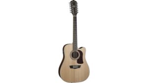 acoustic electric twelve string