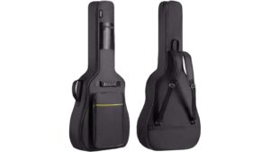 acoustic guitar bag review