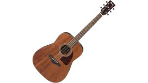 acoustic guitar performance review