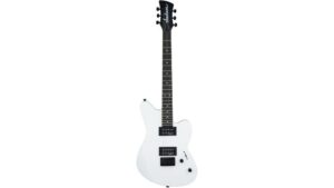 affordable beginner shred machine