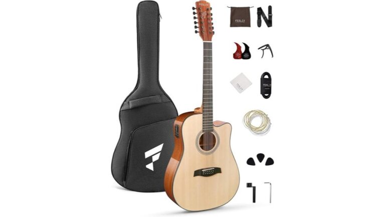 affordable fesly twelve string guitar