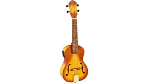 custom built ukulele review