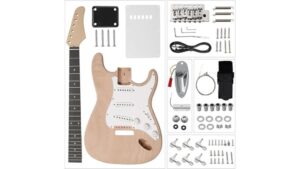 diy guitar assembly review