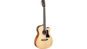 electric acoustic guitar review