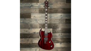 esp ltd viper 1000 m review