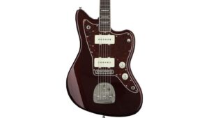 fender troy van leeuwen