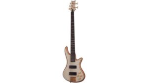 five string bass guitar
