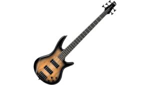 five string bass guitar